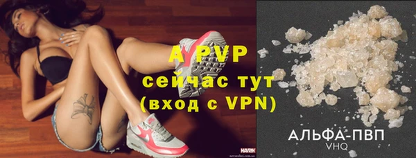 гашик Абаза