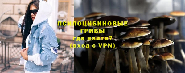стаф Алзамай