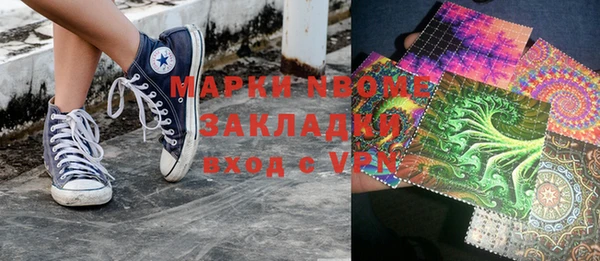 стаф Алзамай