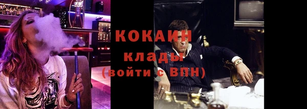 стаф Алзамай