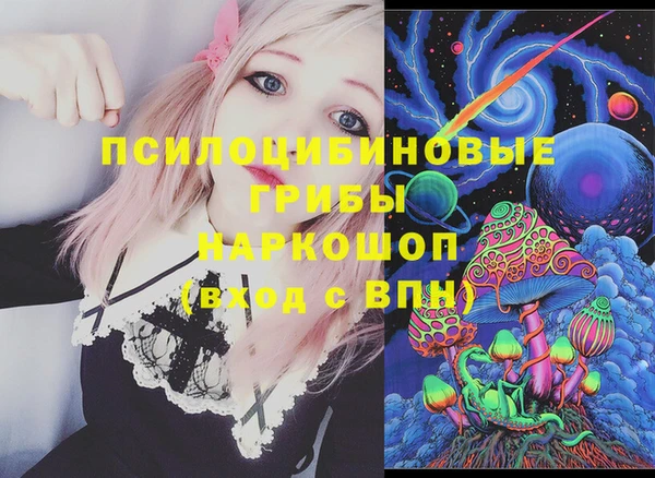 стаф Алзамай