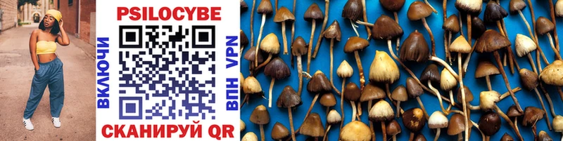Псилоцибиновые грибы MAGIC MUSHROOMS  наркошоп  Керчь 