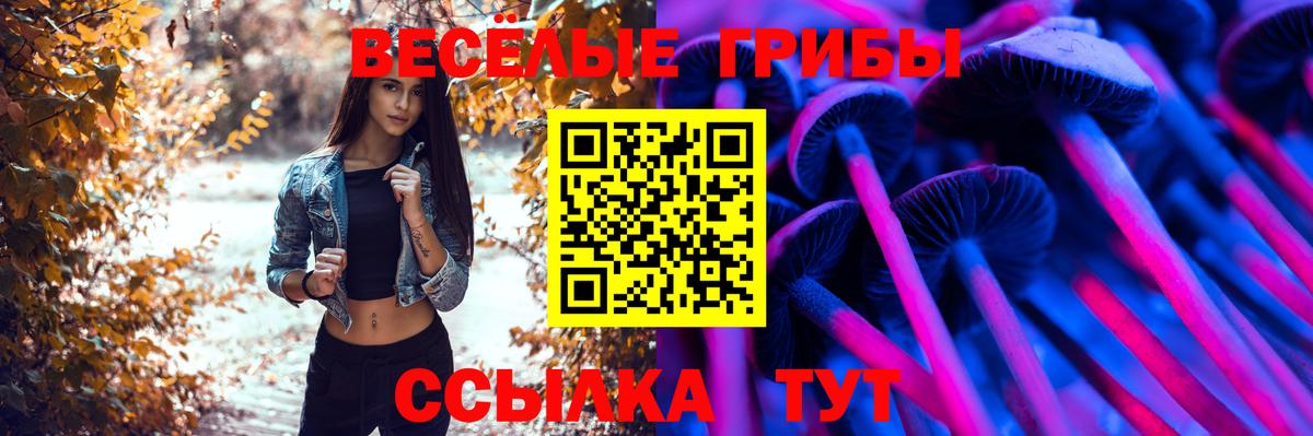 Керчь  Галлюциногенные грибы Psilocybine cubensis  Вход с VPN 